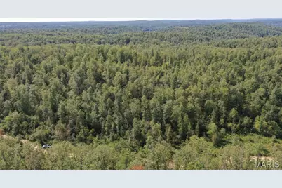 Tbd County Road 636, Washington, MO 63638 - Photo 26