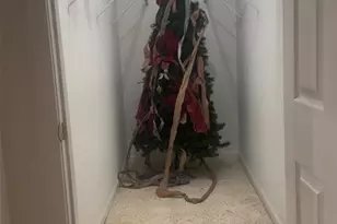 912 Plantation Blvd, Sikeston, MO 63801 - Photo 20