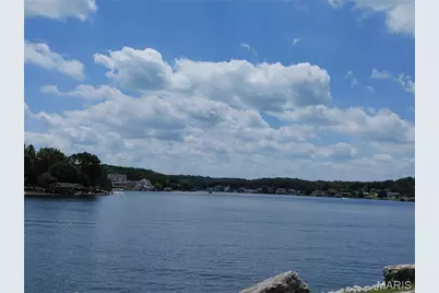 10101 Lake Ridge Court, Hillsboro, MO 63050 - Photo 10