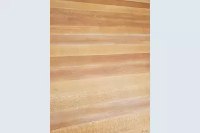 701 Madison Street, Stanton, MO 63435 - Photo 12