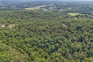 283 Broken Post Dr, Richland, MO 65556 - Photo 86