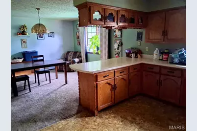 20605 Highway 28, Dixon, MO 65459 - Photo 8