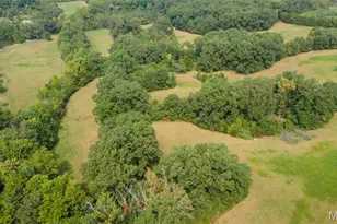 192 Market St, Millersville, MO 63766 - Photo 10