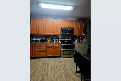 229 Carter 254, Grandin, MO 63943 - Photo 16