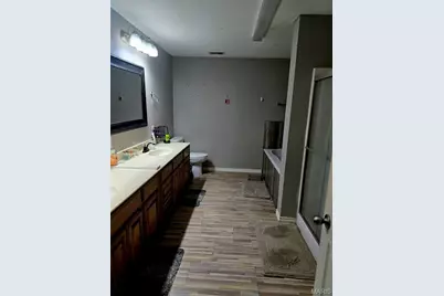 229 Carter 254, Grandin, MO 63943 - Photo 28