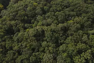 28148 Commanche Trail, Stanton, MO 63435 - Photo 18