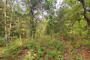 28148 Commanche Trail, Stanton, MO 63435 - Photo 90