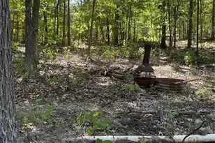 12775 Pawnee Trail, Saint Genevieve, MO 63670 - Photo 8