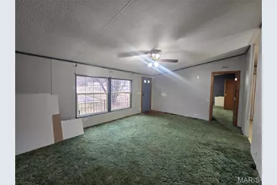 19050 Sikes Road, Saint Genevieve, MO 63670 - Photo 12