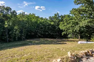 12050 Pike 9162, Louisiana, MO 63353 - Photo 62