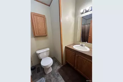 69 Mary Ann Lane, Wappapello, MO 63966 - Photo 10