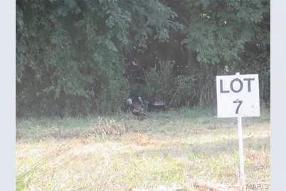 804 Timber Creek Court, Hawk Point, MO 63349 - Photo 2