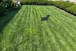 450 W Adams Ave, Kirkwood, MO 63122 - Photo 28