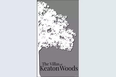 202 Keaton Woods Drive, O'Fallon, MO 63368 - Photo 20