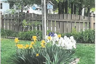 999 Reddington Oaks Ct, Saint Charles, MO 63304 - Photo 64