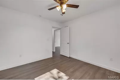 211 Easy Street, De Soto, MO 63020 - Photo 22