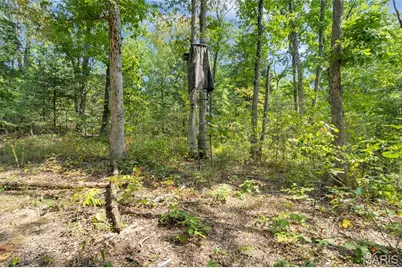 8995 Bammann Place, Dittmer, MO 63023 - Photo 60