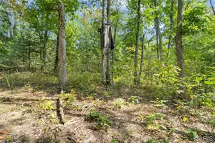 8995 Bammann Pl, Dittmer, MO 63023 - Photo 60