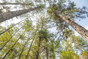 1981 Ripley Rte C, Doniphan, MO 63935 - Photo 44