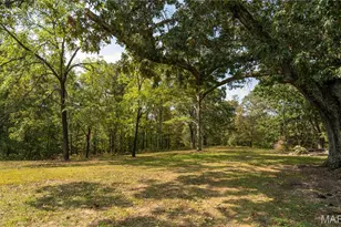 1981 Ripley Rte C, Doniphan, MO 63935 - Photo 34