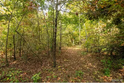 1981 Ripley Route C, Doniphan, MO 63935 - Photo 46