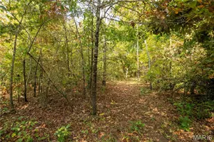 1981 Ripley Rte C, Doniphan, MO 63935 - Photo 46