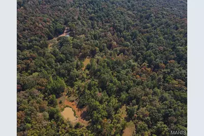 1981 Ripley Route C, Doniphan, MO 63935 - Photo 56