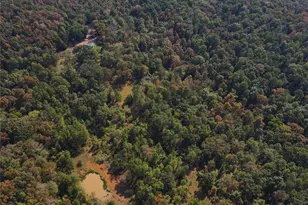 1981 Ripley Rte C, Doniphan, MO 63935 - Photo 56