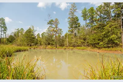 1981 Ripley Route C, Doniphan, MO 63935 - Photo 8