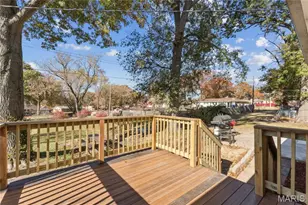 11559 Asheboro Dr, Saint Louis, MO 63138 - Photo 18