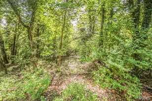 6302 Upper Byrnes Mill, Byrnes Mill, MO 63051 - Photo 10