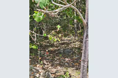 10129 Lake Ridge Drive, Hillsboro, MO 63050 - Photo 8