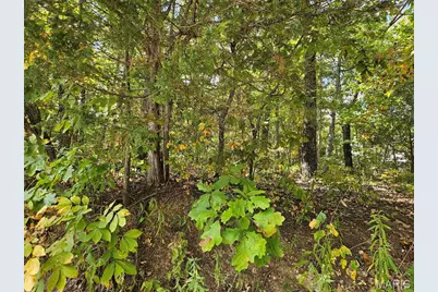 9761 W Vista Drive, Hillsboro, MO 63050 - Photo 6