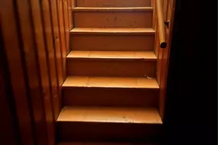 1119 Astoria Dr, Saint Louis, MO 63137 - Photo 42