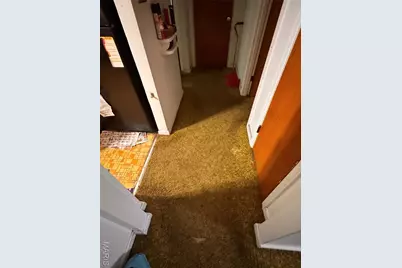 1119 Astoria Drive, Saint Louis, MO 63137 - Photo 34