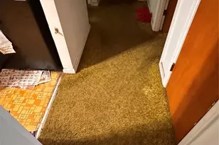 1119 Astoria Dr, Saint Louis, MO 63137 - Photo 34