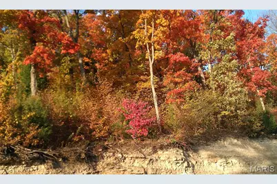 4537 Augusta Shores Court, Augusta, MO 63332 - Photo 60