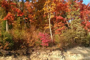 4537 Augusta Shores Ct, Augusta, MO 63332 - Photo 60