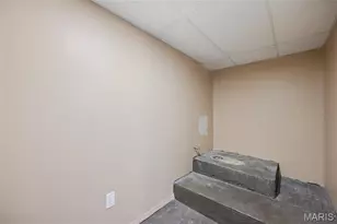 1347 Graham St, Saint Louis, MO 63139 - Photo 16