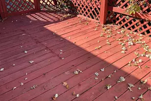 769 Cedar Ln, Cape Girardeau, MO 63701 - Photo 16