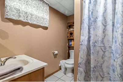 465 Sycamore Drive, Saint Genevieve, MO 63670 - Photo 34