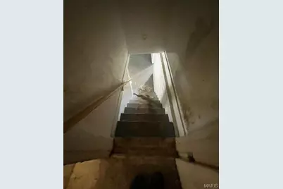 141 S Barat Avenue, Saint Louis, MO 63135 - Photo 6