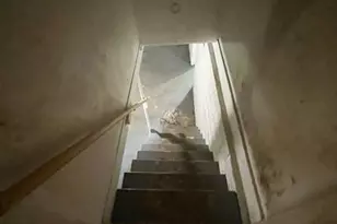 141 S Barat Ave, Saint Louis, MO 63135 - Photo 6