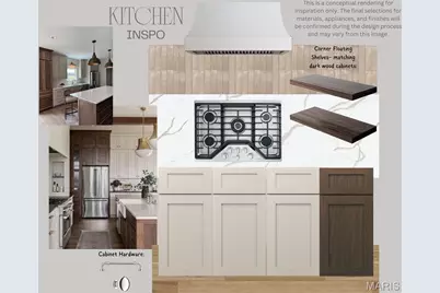 219 E Woodbine Avenue E, Kirkwood, MO 63122 - Photo 2