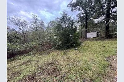 Box 3815 Hc 3, Greendale, MO 63944 - Photo 10