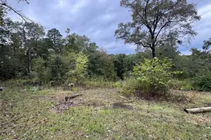 Box 3815 Hc 3, Greendale, MO 63944 - Photo 6