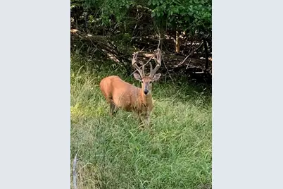 2017 Heather Drive, Lake Sherwood, MO 63357 - Photo 34