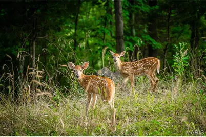 2014 Heather Drive, Lake Sherwood, MO 63357 - Photo 30