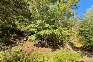 2161 S Lake Sherwood Dr, Lake Sherwood, MO 63357 - Photo 1