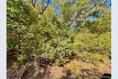 2162 S Lake Sherwood Drive, Lake Sherwood, MO 63357 - Photo 2